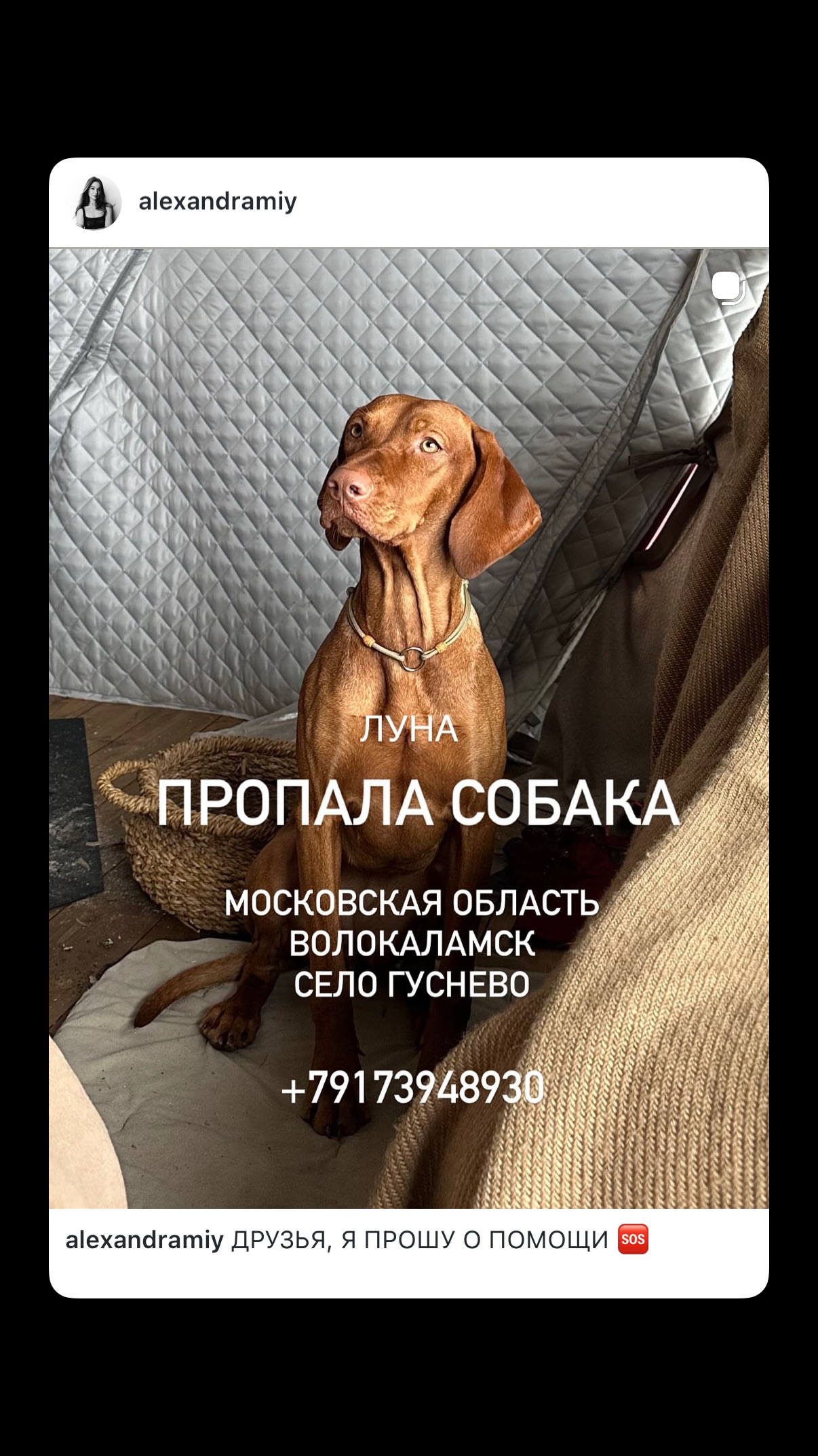 новая фото в сторис @zlayadobrota 23.08.2026