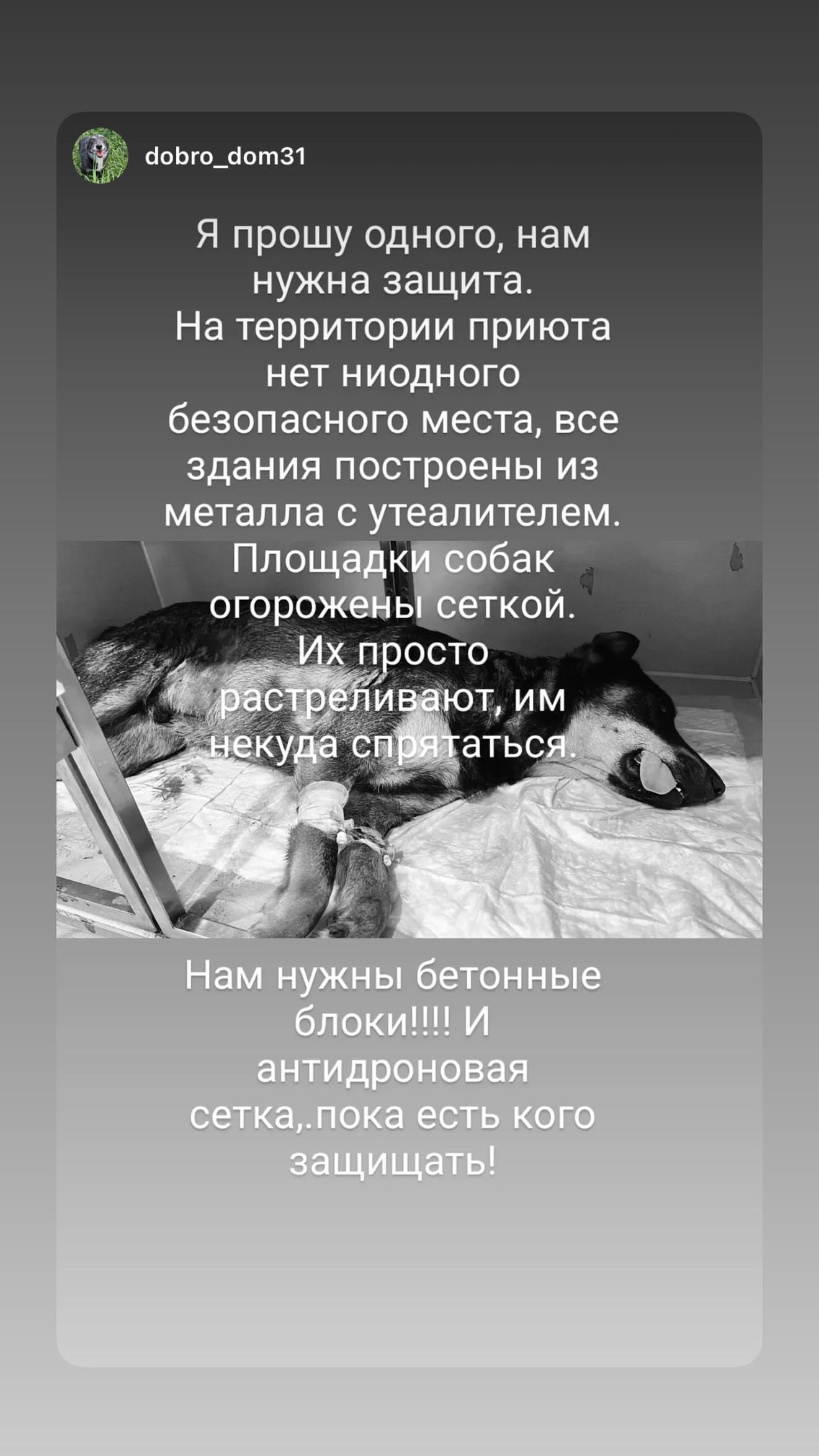 новая фото в сторис @trufanova_31 30.08.2026