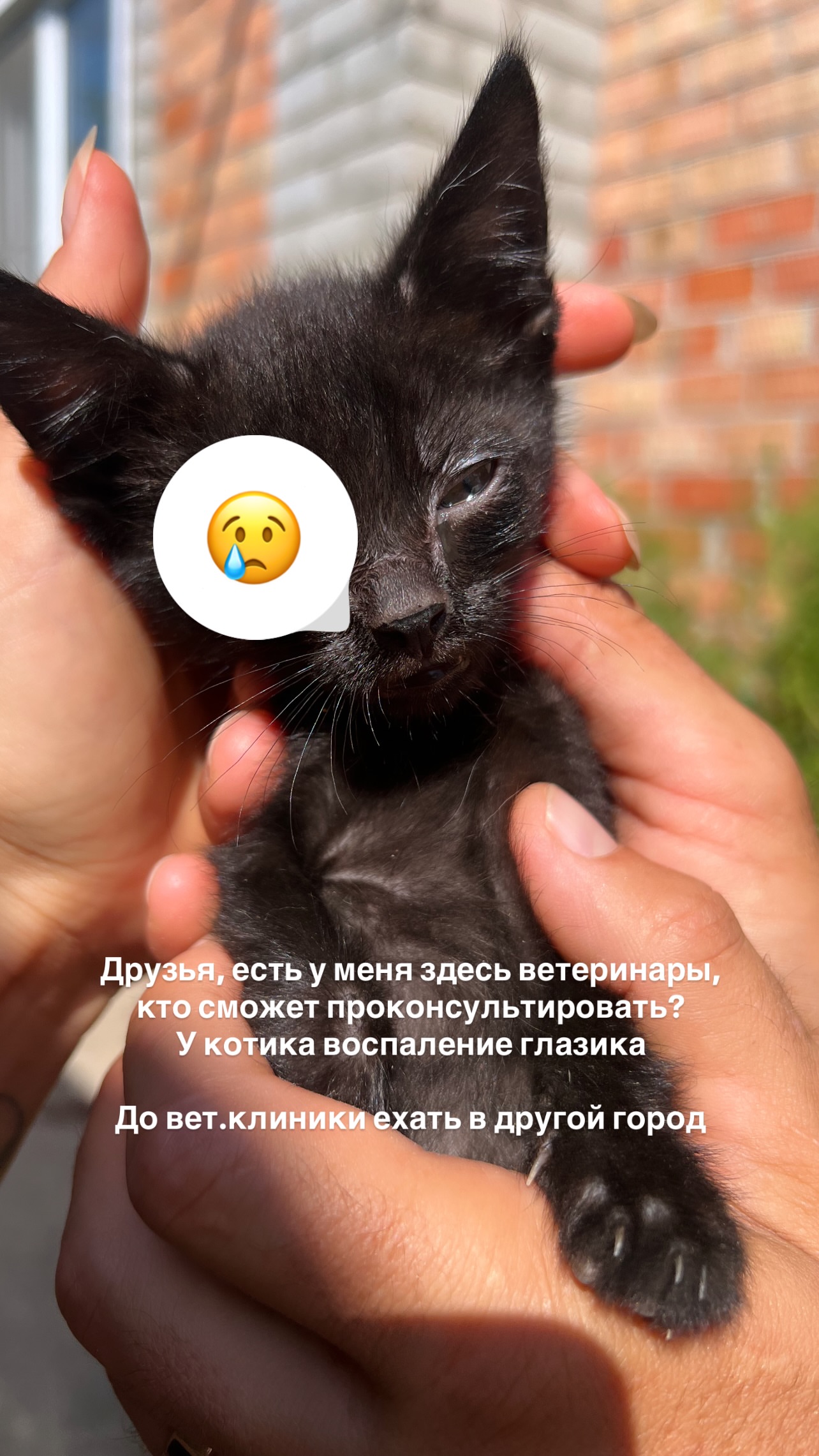 новая фото в сторис @ocean_katrin 03.09.2026