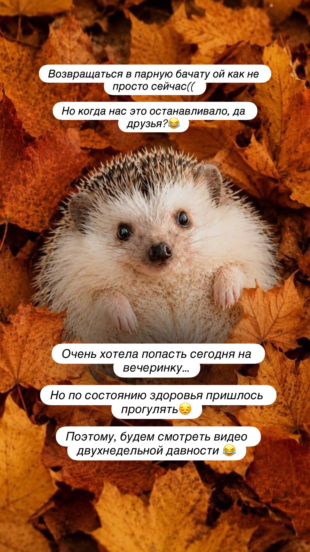 новая фото в сторис @irina_ignatyeva_ 04.09.2026