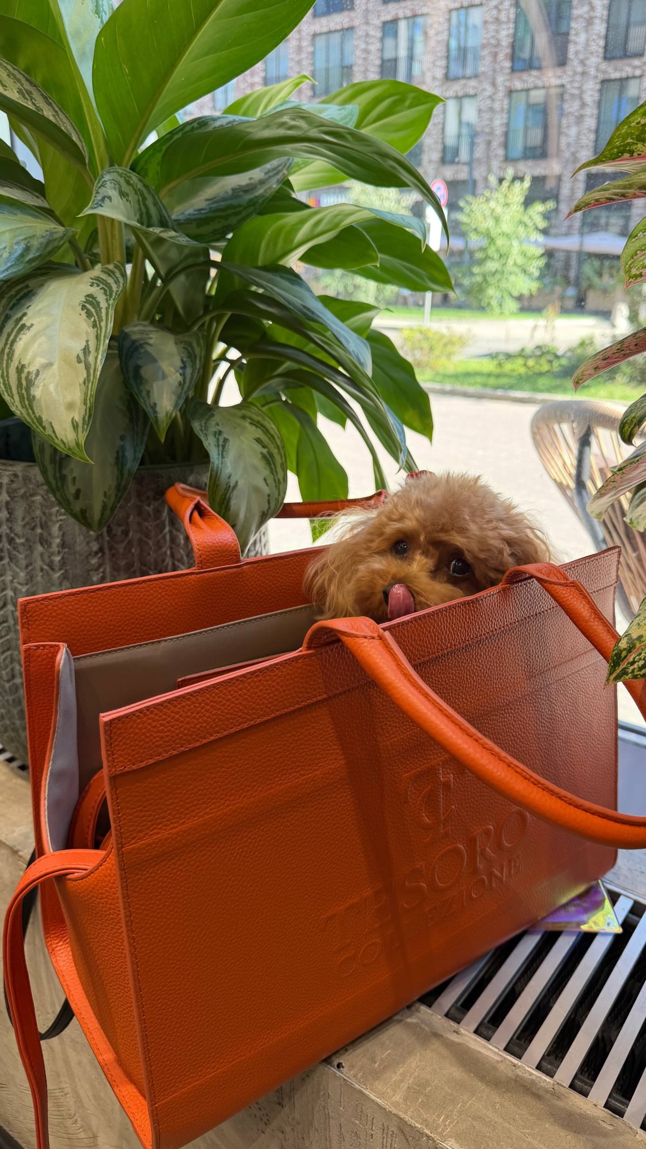 новая фото в сторис @natalia_miridonova 11.09.2026