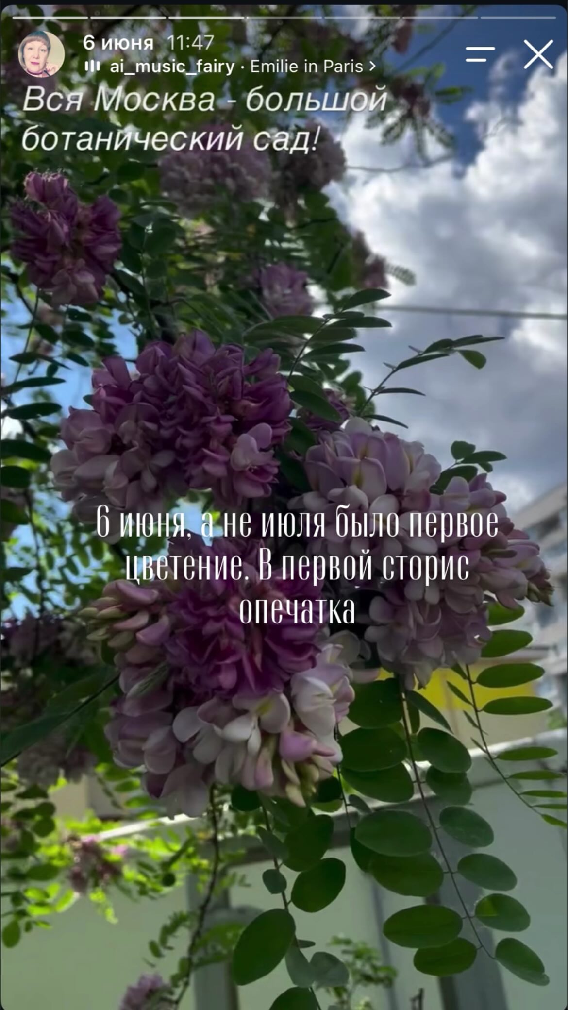 новая фото в сторис @lanaaaa1111 14.09.2026