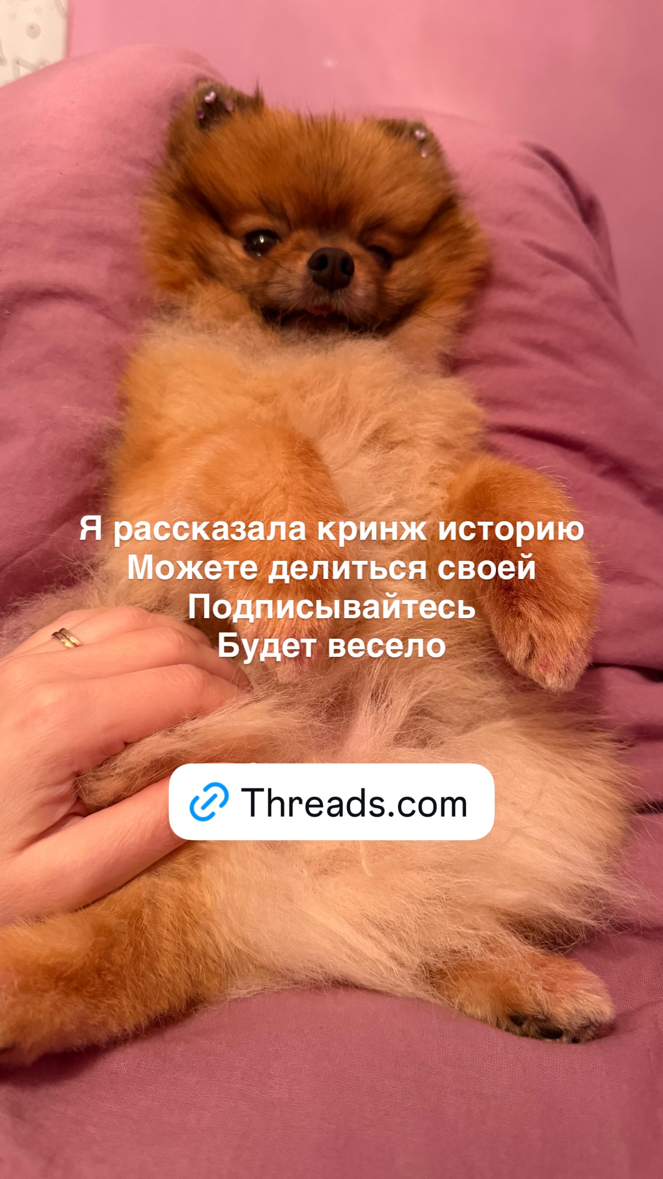 новая фото в сторис @kosma.kosma_666 15.09.2026