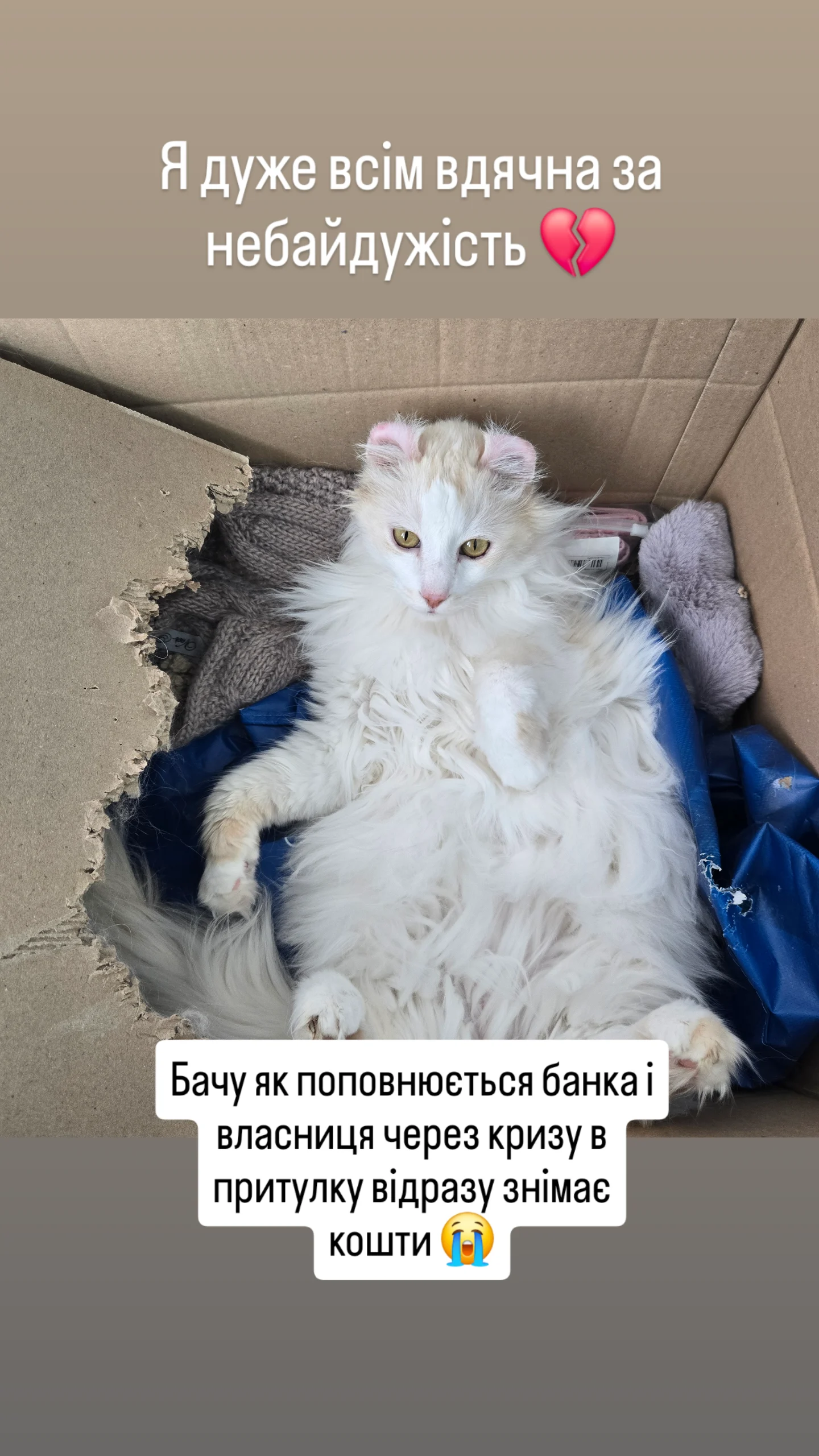 новая фото в сторис @olesami 17.09.2026