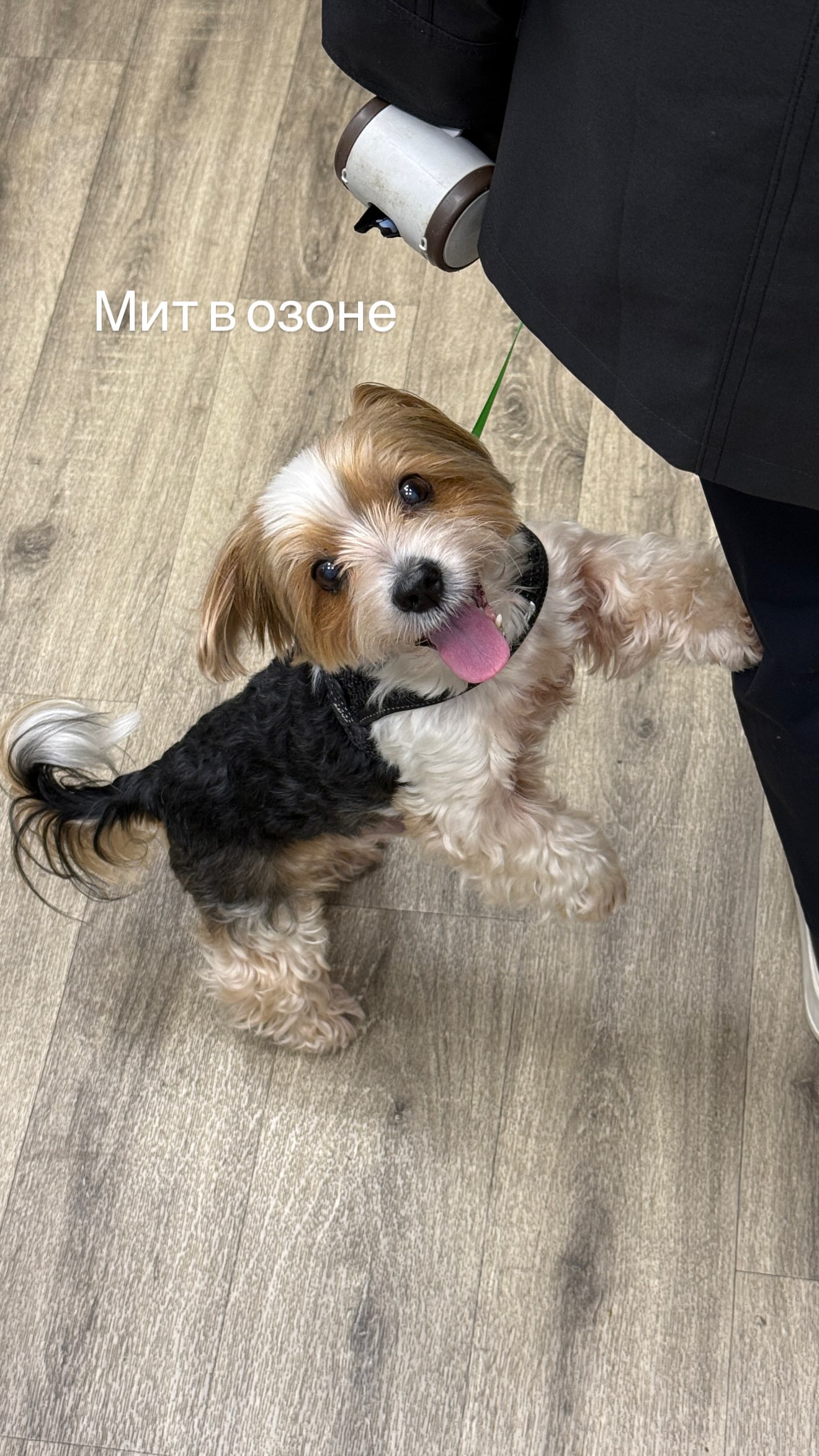 новая фото в сторис @neigraysognem 26.09.2026