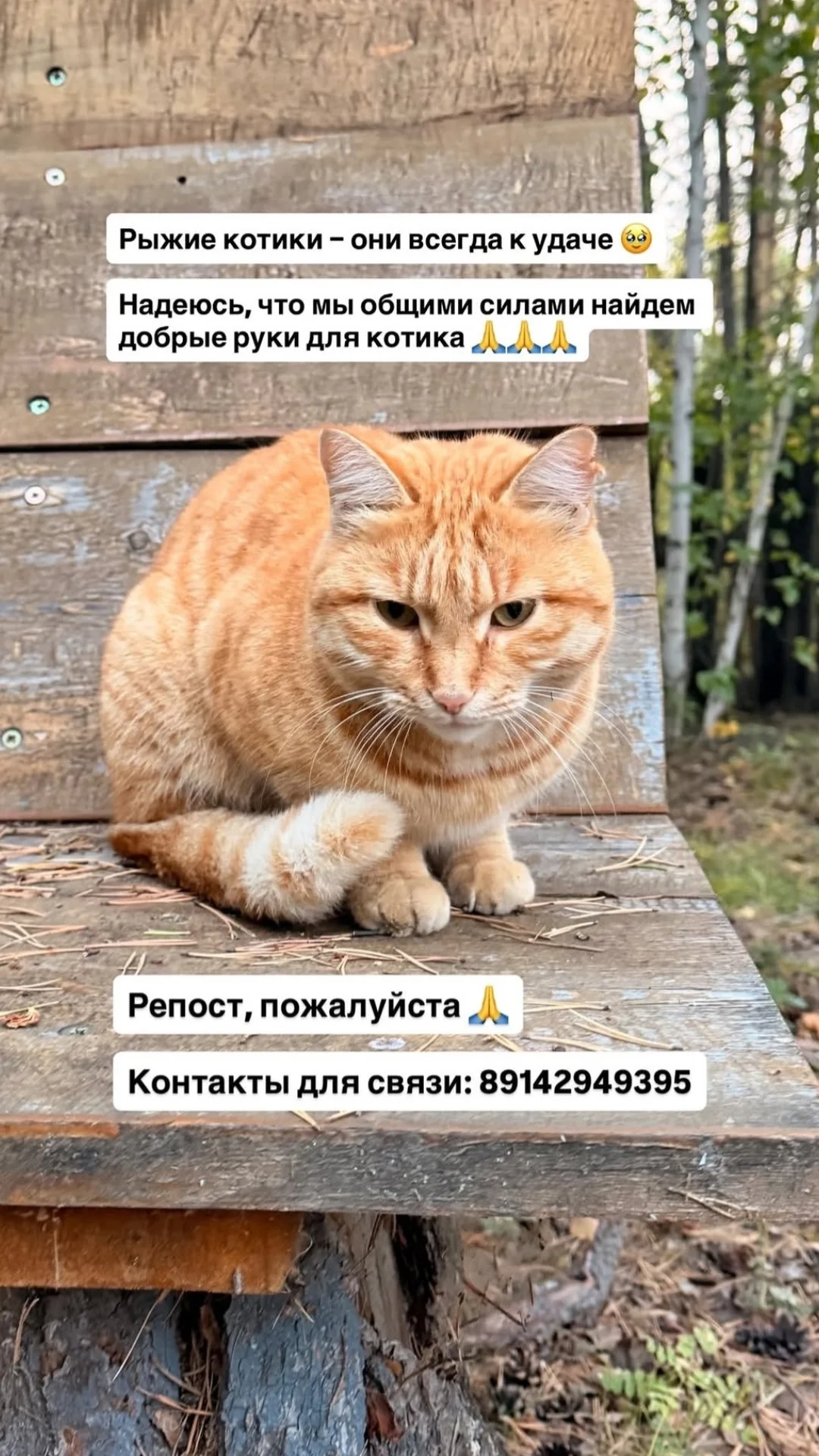 новая фото в сторис @lubo4ka22 28.09.2026