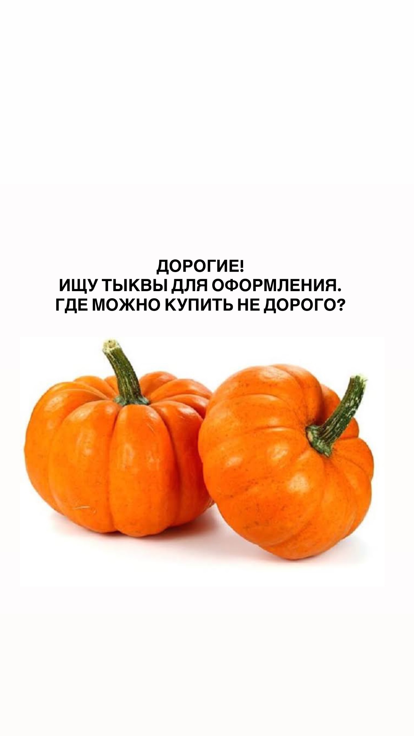 новая фото в сторис @pastukhova888 28.09.2026