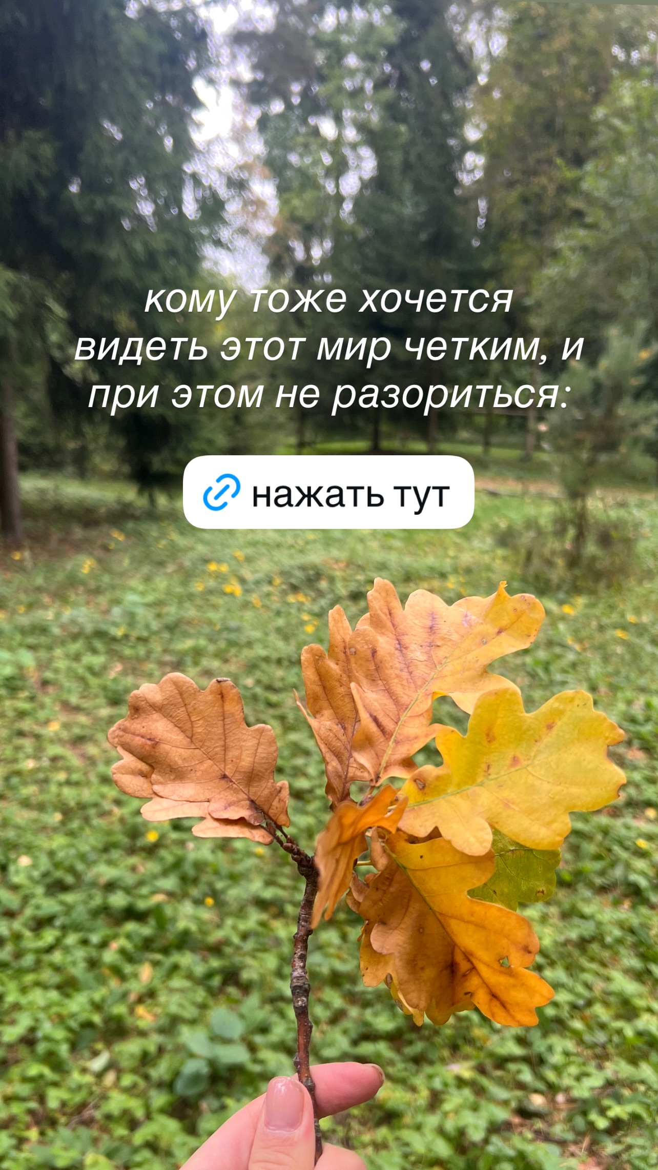 новая фото в сторис @endodoctor_maksimova 29.09.2026