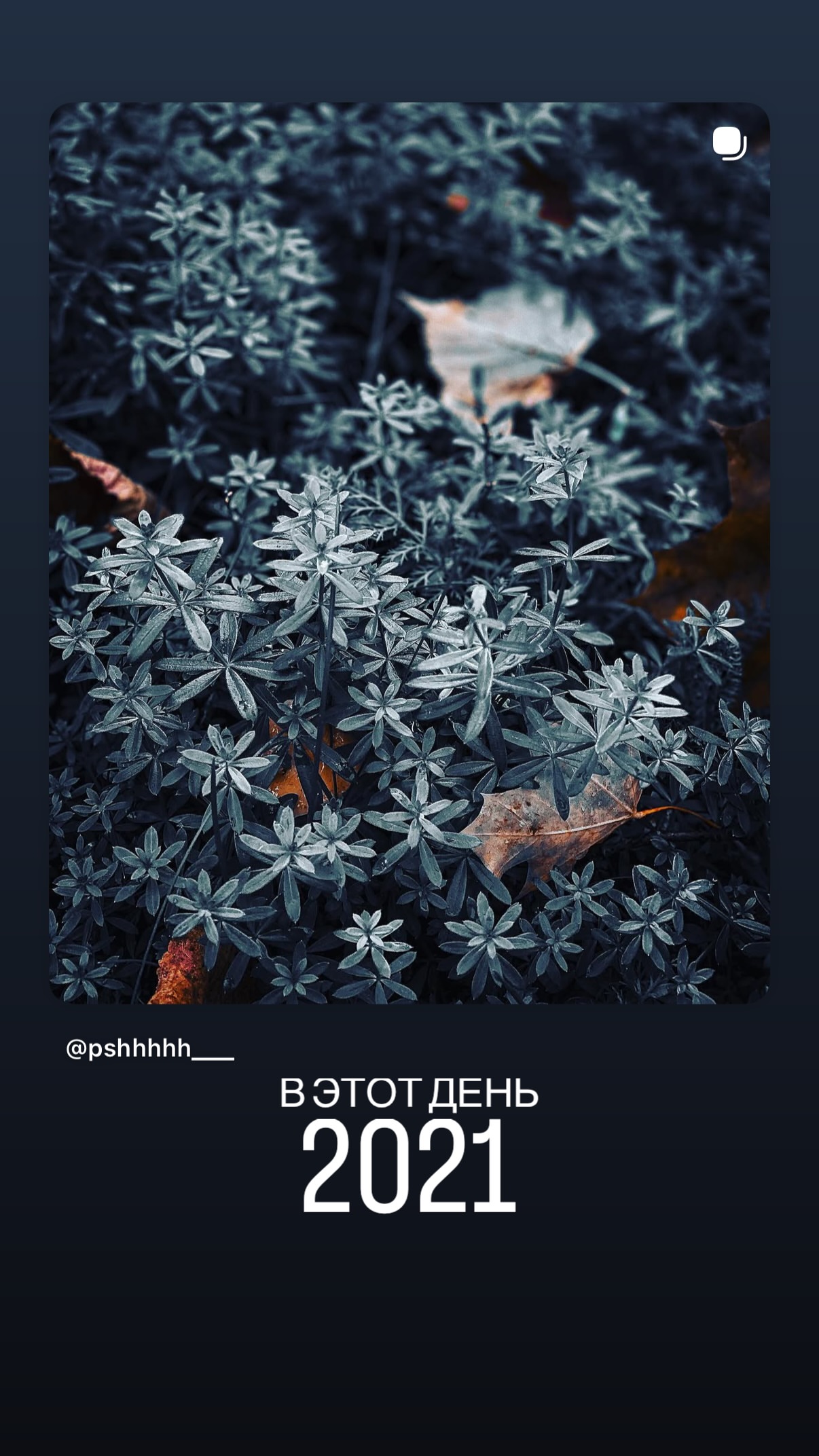 новая фото в сторис @pshhhhh___ 30.09.2026