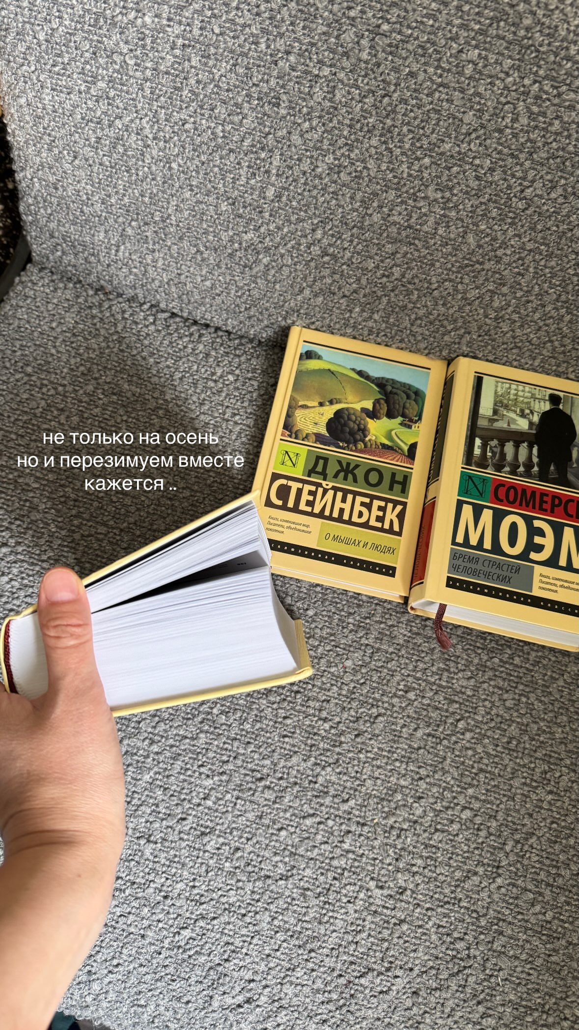 новая фото в сторис @prekrastno 05.10.2026