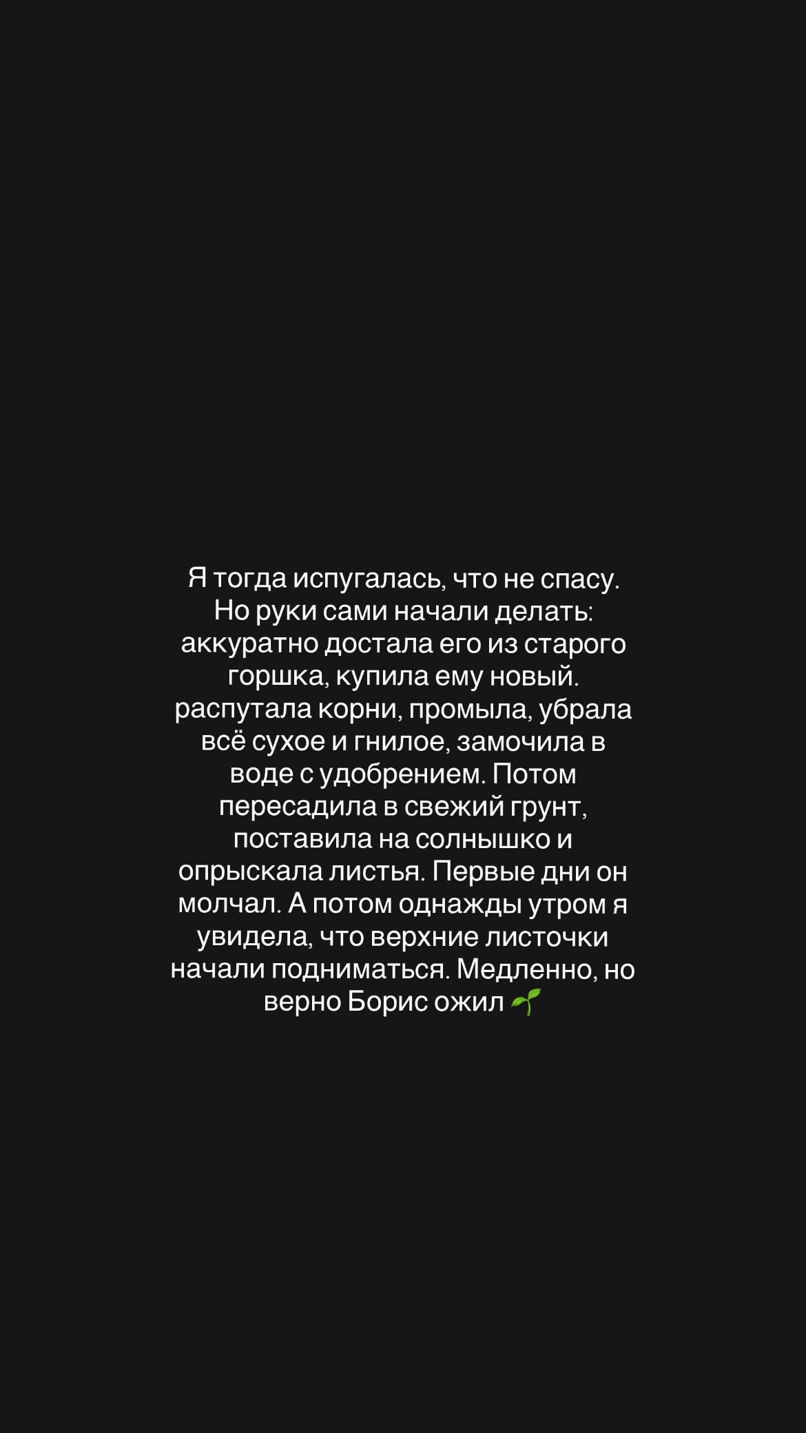 новая фото в сторис @alikina_ma 07.10.2026