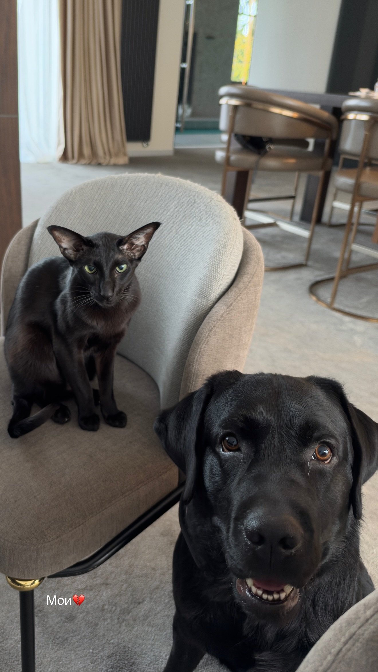 новая фото в сторис @viki_odintcova 07.10.2026